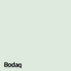 BODAQ Interior Film - Interieurfolie S214 Mint
