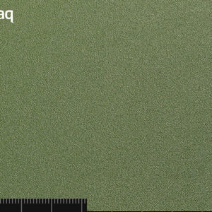 BODAQ Interior Film - Interieurfolie S202 Moss - Afbeelding 3