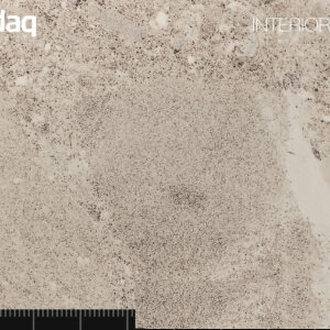 Alternative view of BODAQ Interior Film - Interieurfolie PM008 Light Terrazzo